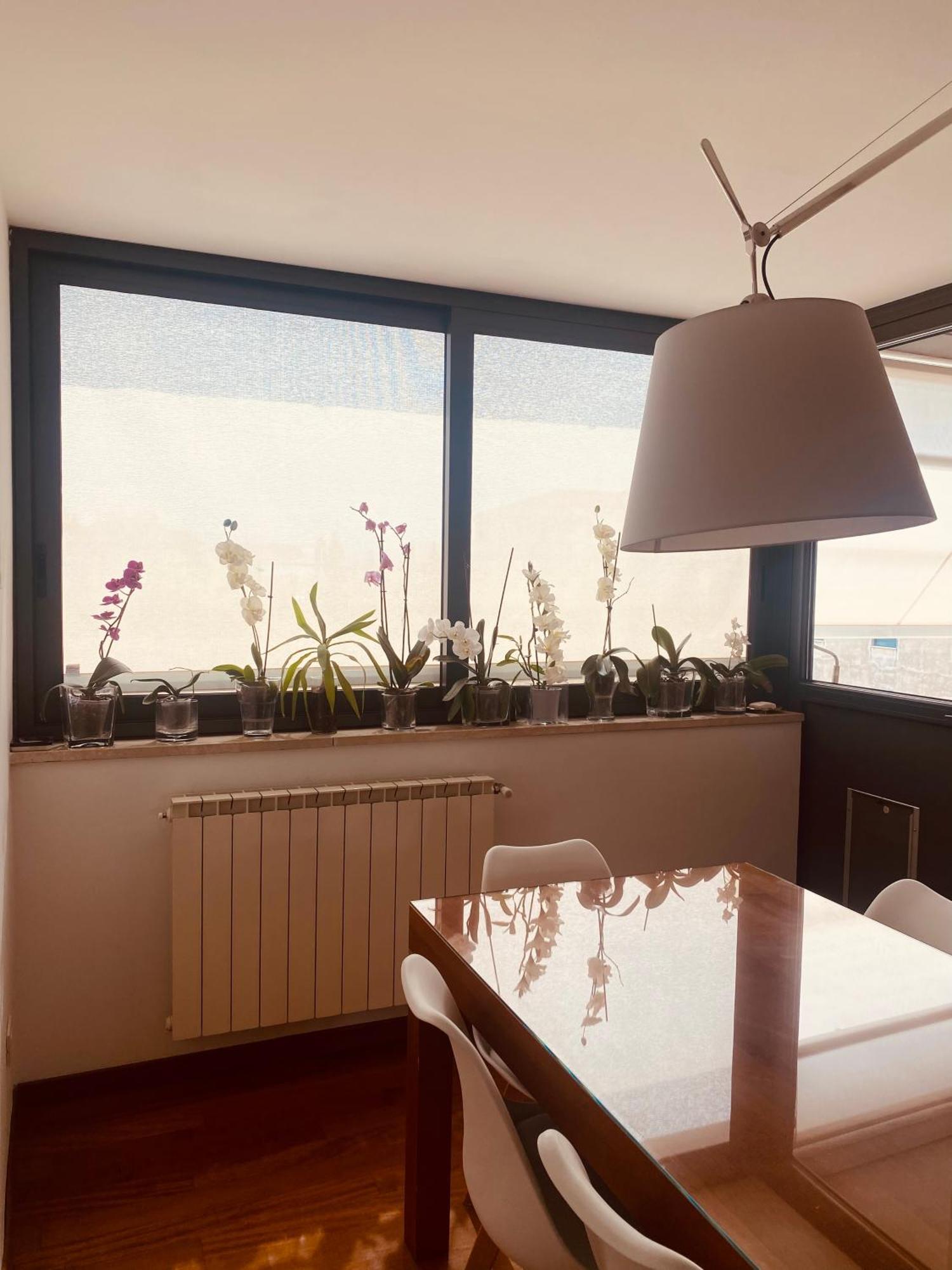 La Casa Di Dani Διαμέρισμα Φλωρεντία Εξωτερικό φωτογραφία